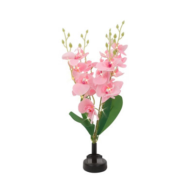 Gardenwize Solar Orchid Lights With 30 Warm Led's from B&Q