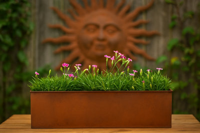  - Annibells Rustic Rectangular Metal Garden Planters Trough Window Box (24491)Large