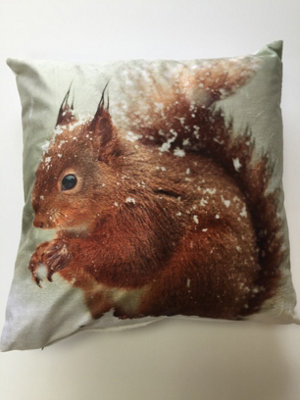 Rapport Home Squirrel Cushion Cover 43X43 Multi from B&Q