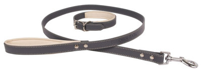 Banbury Co Luxury Dog Collar Lead Set from B&Q