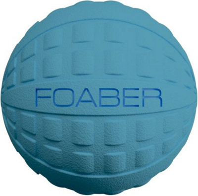 Foaber Bounce Medium Blue Ball For Dogs from B&Q