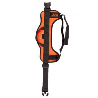 Rac Advanced Walking HarnessSmall from B&Q