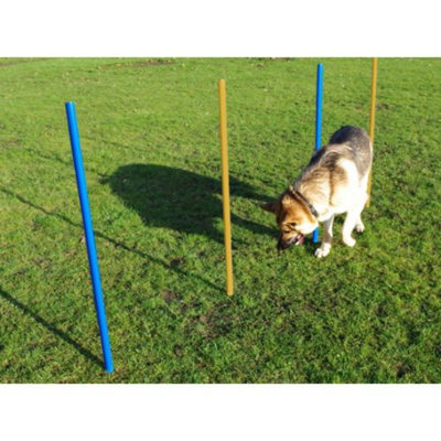 Dibor Agility Slalom Poles Pk5 With Foaber Bounce Large Blue Dog Toy from B&Q
