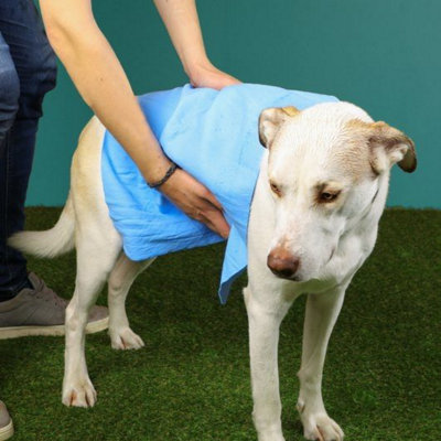 Just Chillin' Cooling Towel 40X30Cm from B&Q