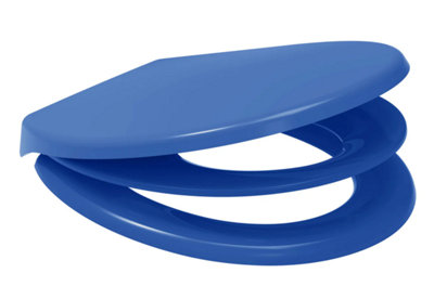 Euroshowers Blue Anti-Bac Oval Shape  Family / Multi Potty Training Anti-Bac Toilet Seat With Removeable Child Seat from B&Q