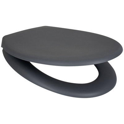 Euroshowers Top Fix Matt Grey Soft Close Toilet Seat from B&Q