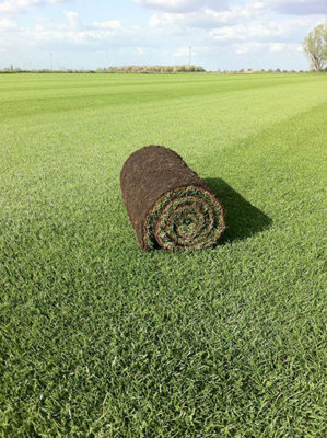 Harrowden Premium Lawn Turf 50M² from B&Q