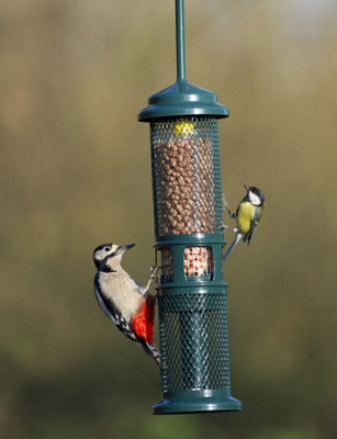 Jacobi Jayne Squirrel Buster Peanut+ 750Ml from B&Q
