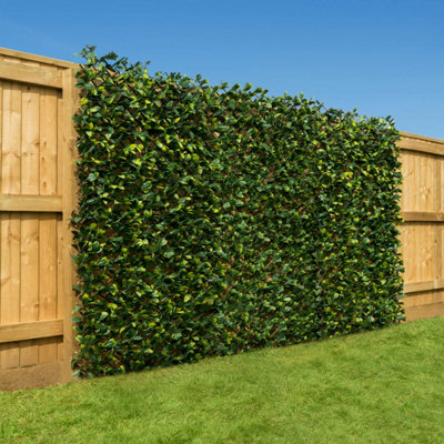 Christow Expandable Artificial Trellis Laurel Leaf Fence 1M X 2M from B&Q