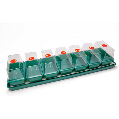 Amos Eezy Grow Self Watering Windowsill Propagator from B&Q