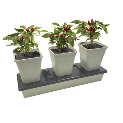 Garland Products Ltd Garland Self Watering Triogrow Planter from B&Q
