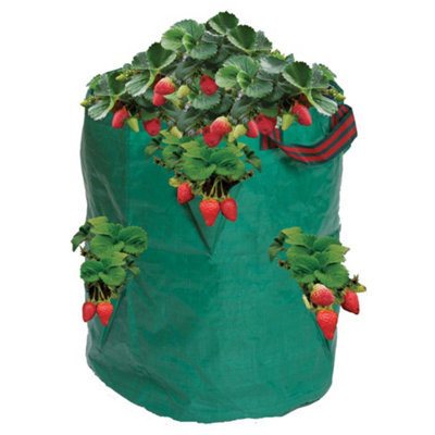 Garland Products Ltd Garland Herb & Strawberry Grow Bag Planter from B&Q