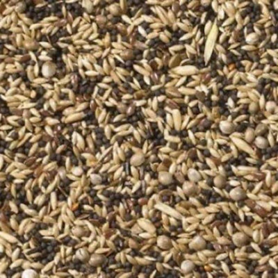 Johnston & Jeff British Finch Bird Seed20 Kg from B&Q