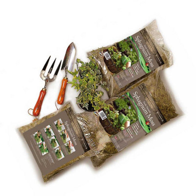 Tildenet Country Forge Moss Bag Medium For 3X 12In 30Cm Hanging Baskets from B&Q