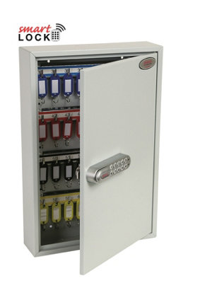 Phoenix Safe Company Phoenix Commercial Key Cabinet Kc0602N 64 Hook With Net Code Electronic Lock. from B&Q