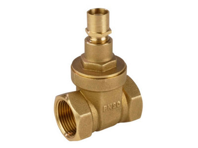 Reliance Valves Rv Dzr Brass Gate Valve Ls Dn32 Gate112023 from B&Q