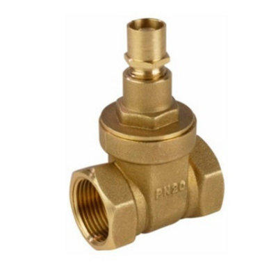 Reliance Valves Rv Dzr Brass Gate Valve Ls Dn50 Gate112025 from B&Q