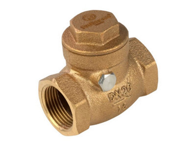 Reliance Valves Rv Bronze Check Valve Dn20 Brck100002 from B&Q