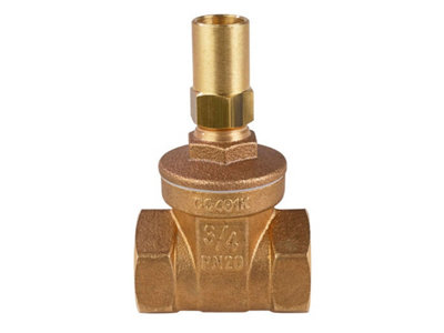 Reliance Valves Rv Bronze Gate Valve Ls Dn20 Gate110021 from B&Q