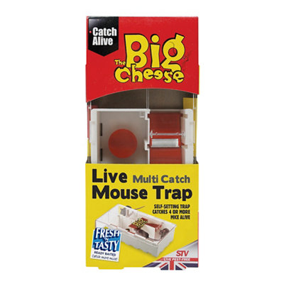 B&Q -  Mouse Trap (H)44mm (W)101mm