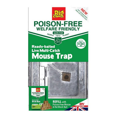 The Big CheesePoison Free Ready Baited Live Multi Catch Mouse Trap - from B&Q