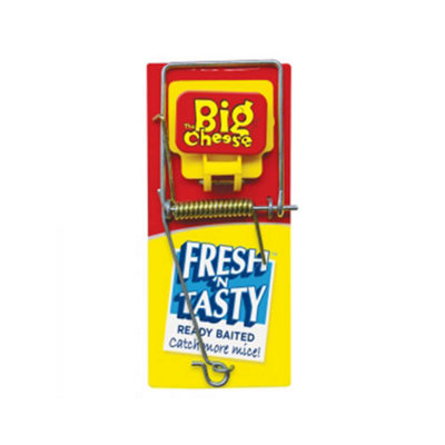 Big Cheese Stv194 Fresh Baited Mouse Trap from B&Q