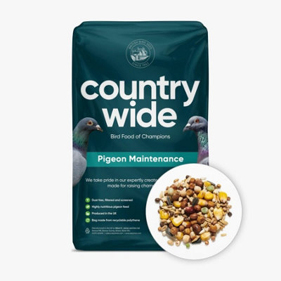 Countrywide Pigeon Maintenance Mix 20Kg from B&Q