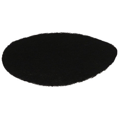 Delonghi Genuine Fryer Carbon Filter