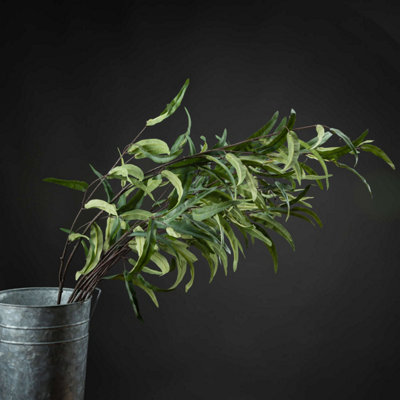 Hill Interiors Uk Homeliving Eucalyptus Nicholii Spray