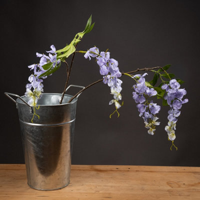 Lilac                  Wisteria from B&Q