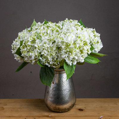 Hill Interiors Uk Homeliving White Lace Cap Hydrangea