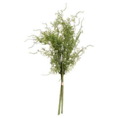 B&Q -  Uk Homeliving Asparagus Fern Bunch