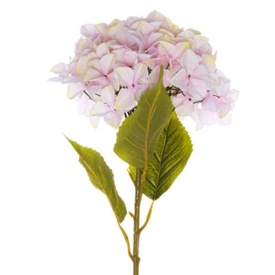 Hill Interiors Uk Homeliving Giant Pink Hydrangea