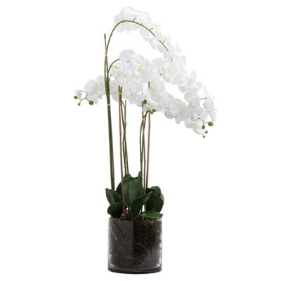 Hill Interiors Large Tall Orchid In Glass Pot White