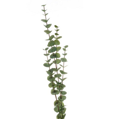 B&Q -  Large Cineraria Eucalyptus Spray