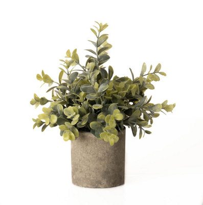 Hill Interiors Eucalyptus Potted Stone Effect Faux Plant from B&Q