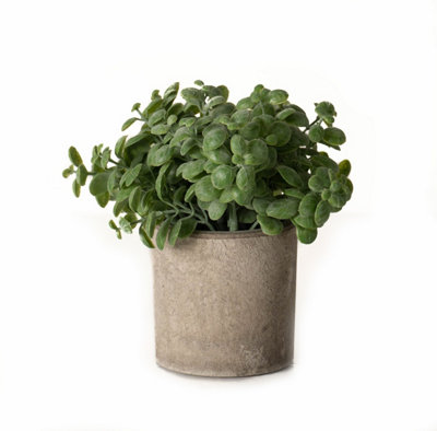 Basil Plant In Stone Effect Pot Artificial PlantPlasticL16 X W16 X H15 CmGreen from B&Q