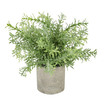 Hill Interiors Rosemary Potted Stone Effect Faux Plant from B&Q