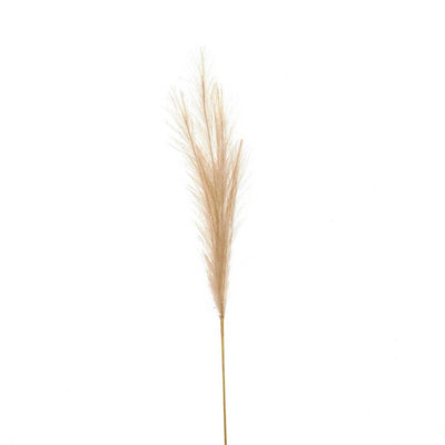 Hill Interiors Bleached Faux Pampas Grass Stem from B&Q