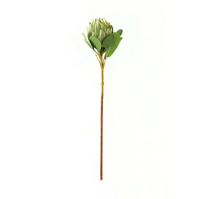Hill Interiors Protea Green Faux Plant Large from B&Q