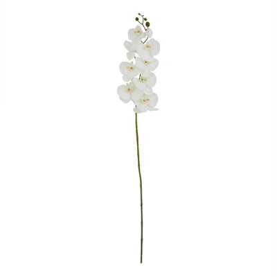 Tall  White  Butterfly  Orchid  Stem from B&Q