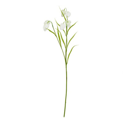 The  Natural  Garden  Collection  White  Fritillaria  Stem from B&Q