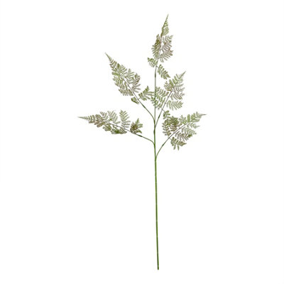 The  Natural  Garden  Collection  Large  Bracken  Fern  Spray from B&Q
