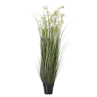 Large  White  Meadow  Plant  In  Pot from B&Q