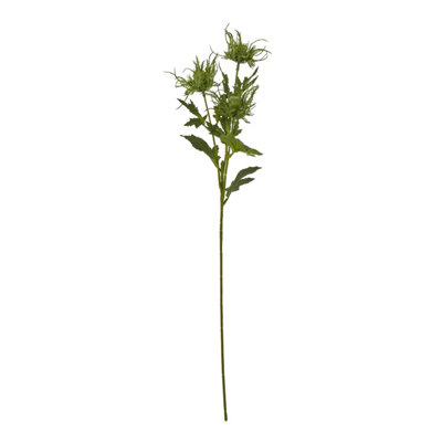  - Green                  Sea                  Holly                  Spray