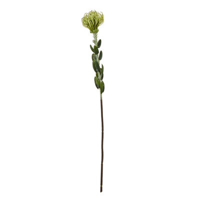  - Green  Pincushion  Protea  Spray