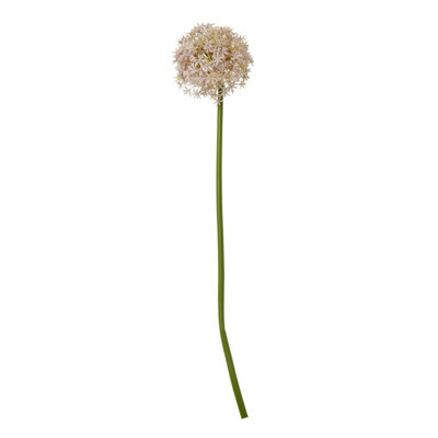  - Lilac                  Medium                  Allium                  Stem