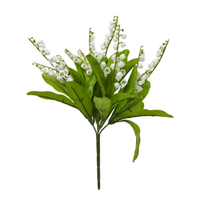 Lily                  Of                  The                  Valley                  Bunch from B&Q