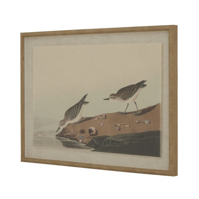Flora  &  Fauna  Collection  Stints  On  Linen  In  Beaded  Frame from B&Q