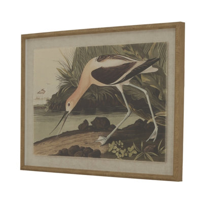 Flora  &  Fauna  Collection  Avocet  On  Linen  In  Beaded  Frame from B&Q
